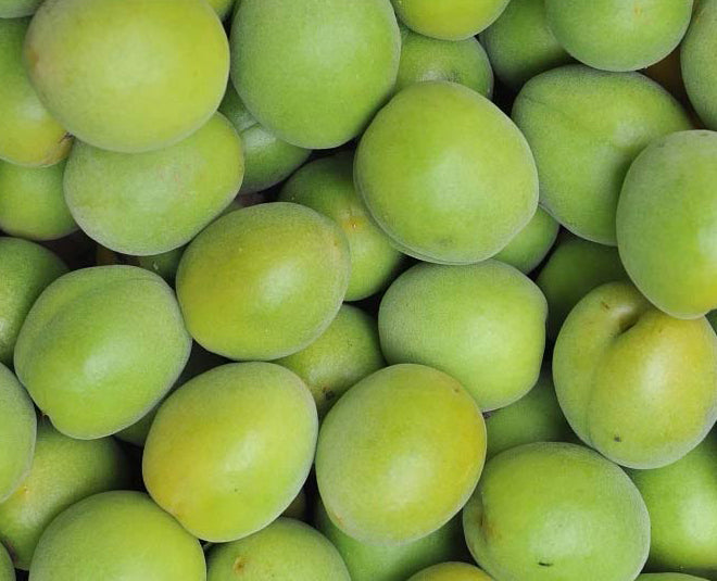 5 Benefits of Using Kakadu Plum Serum on Your Skin AntiBeauty